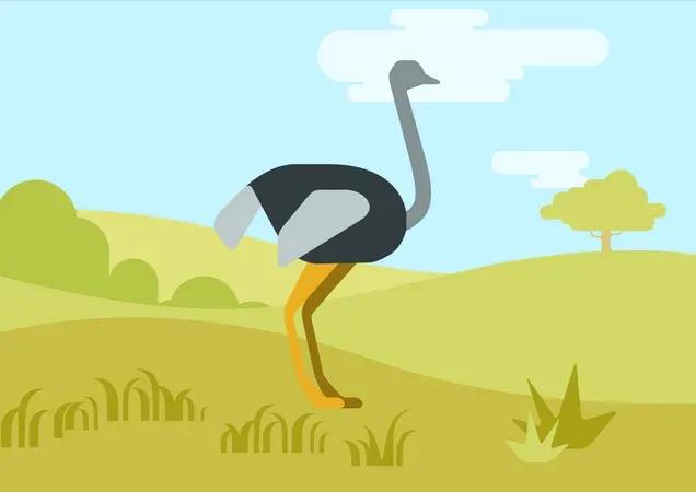 2048 Celebra la maestosità della fauna selvatica con questa raccolta di illustrazioni di animali selvatici. Queste opere d'arte dettagliate ed espressive presentano una varietà di animali selvatici nella loro essenza naturale, dai potenti leoni ai graziosi cervi. Ideali per materiali educativi, progetti basati sulla natura e design che onorano la natura selvaggia, queste illustrazioni danno vita allo spirito degli animali selvatici.
