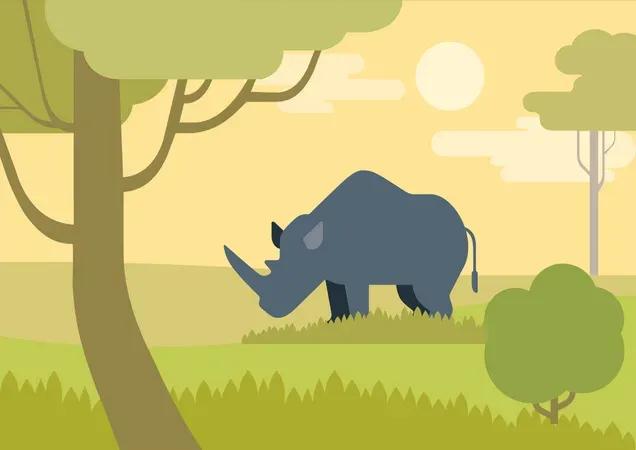 2048 Celebra la maestosità della fauna selvatica con questa raccolta di illustrazioni di animali selvatici. Queste opere d'arte dettagliate ed espressive presentano una varietà di animali selvatici nella loro essenza naturale, dai potenti leoni ai graziosi cervi. Ideali per materiali educativi, progetti basati sulla natura e design che onorano la natura selvaggia, queste illustrazioni danno vita allo spirito degli animali selvatici.