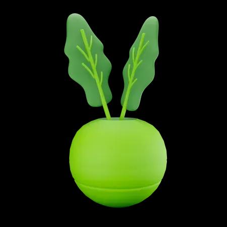 2048 Migliora i tuoi progetti con vivaci illustrazioni 3D di frutta e verdura. Questa raccolta presenta una varietà di frutta e verdura, da succose bacche e mele a carote croccanti e verdure a foglia verde, rese in stile 3D realistico. Ideali per contenuti incentrati sulla salute, design relativi al cibo e materiali educativi, queste illustrazioni aggiungono un tocco rinfrescante e realistico a qualsiasi presentazione visiva.