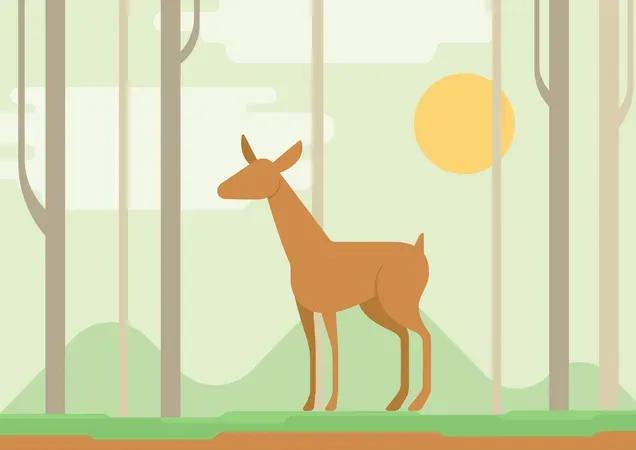 2048 野生動物のイラストのこのコレクションで野生生物の威厳を祝いましょう。これらの詳細で表現力豊かなアートワークは、力強いライオンから優雅な鹿まで、さまざまな野生動物を自然の本質で特徴としています。教育資料、自然を基にしたプロジェクト、荒野を称えるデザインに最適なこれらのイラストは、野生動物の精神に命を吹き込みます。
