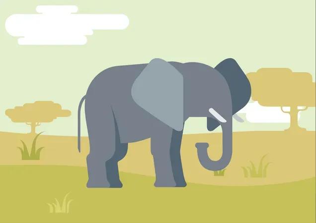2048 Celebra la maestosità della fauna selvatica con questa raccolta di illustrazioni di animali selvatici. Queste opere d'arte dettagliate ed espressive presentano una varietà di animali selvatici nella loro essenza naturale, dai potenti leoni ai graziosi cervi. Ideali per materiali educativi, progetti basati sulla natura e design che onorano la natura selvaggia, queste illustrazioni danno vita allo spirito degli animali selvatici.